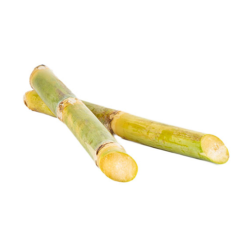  Fit Fresh Sugarcane Kg - ME