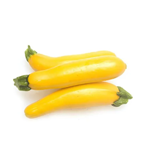 ZUCCHINI YELLOW - HOLLAND ( KG )