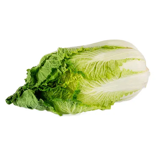 Fit Fresh Chinese Cabbage 1 Pc 0.8 - 1.2 Kg - ME