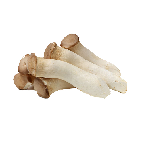 MUSHROOM ERYNGII - CHINA - PKT ( 200 GM )