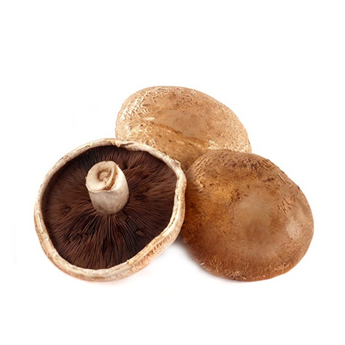 MUSHROOM PORTOBELLO - OMAN - PKT ( 250 GM )