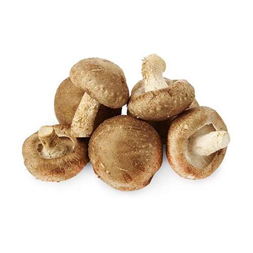 MUSHROOM SHIITAKE - CHINA - PKT ( 200 GM )