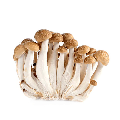 MUSHROOM SHIMEJI BROWN - CHINA (150 gm)