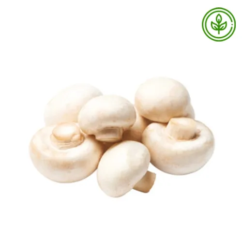 MUSHROOM BUTTON ORGANIC