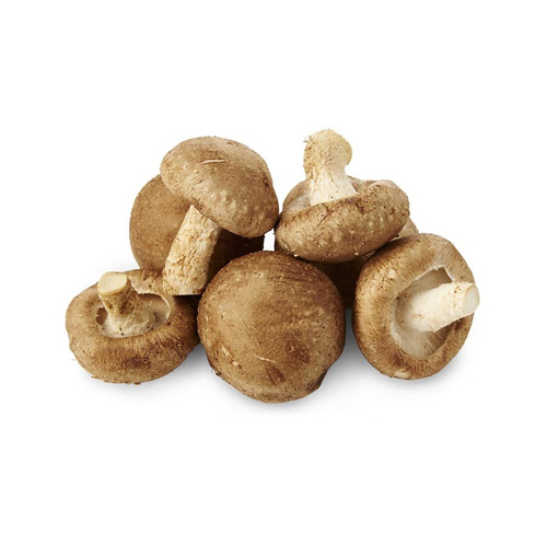 MUSHROOM SHIITAKE - CHINA ( kg )