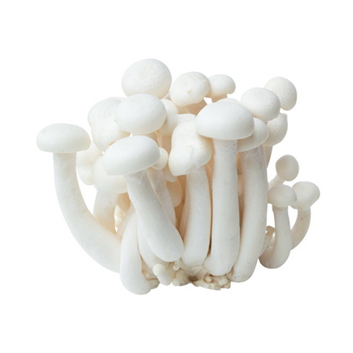 MUSHROOM SHIMJI WHITE-CHINA (150 gm)