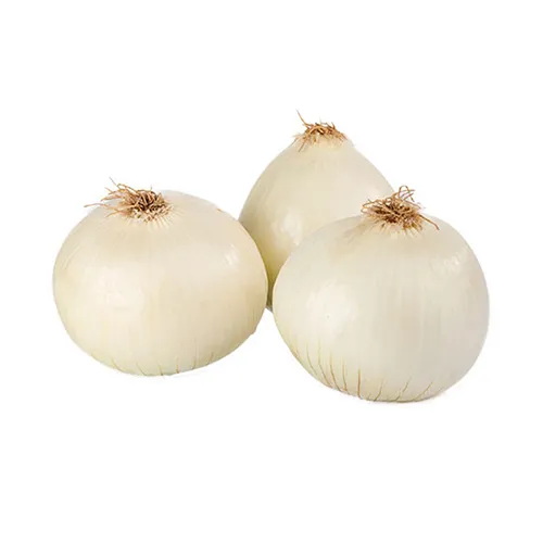  Fit Fresh Onion White Kg - Iran