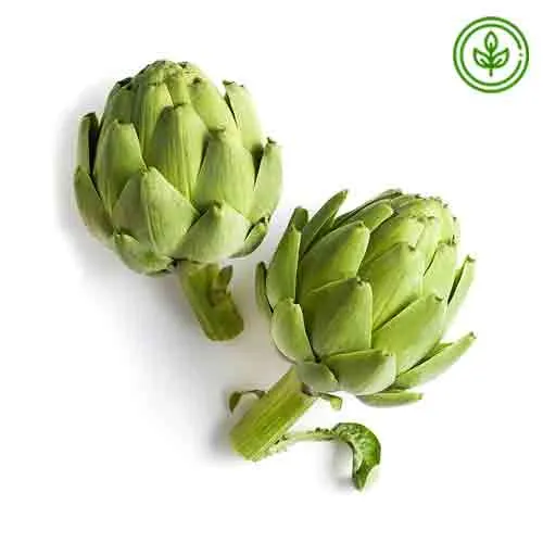ARTICHOKE ORGANIC