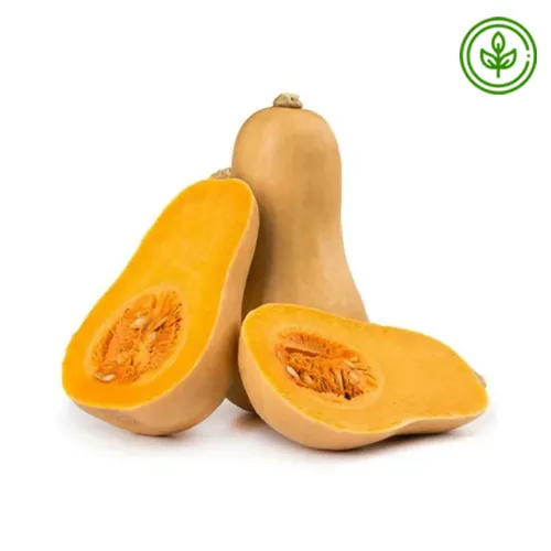 PUMPKIN BUTTERNUT ORGANIC
