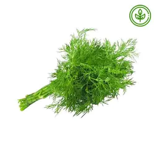 DILL LEAVES - ORGANIC ( PC )