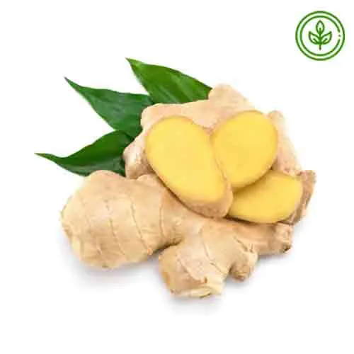 GINGER - ORGANIC