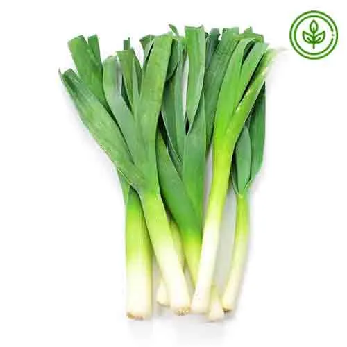 LEEK ORGANIC 