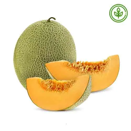 MELON ROCK - ORGANIC 