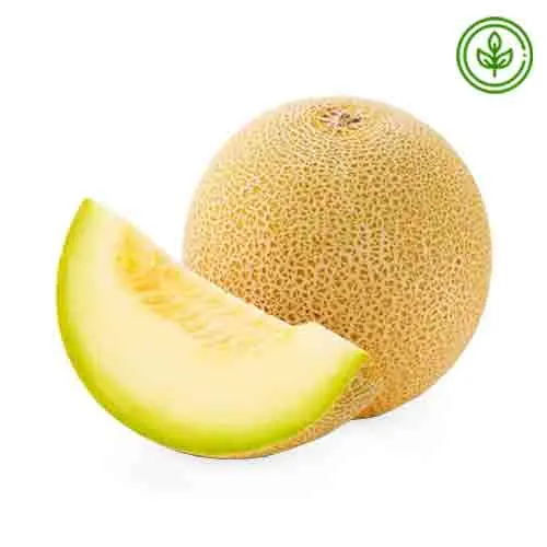 SWEET MELON ORGANIC 