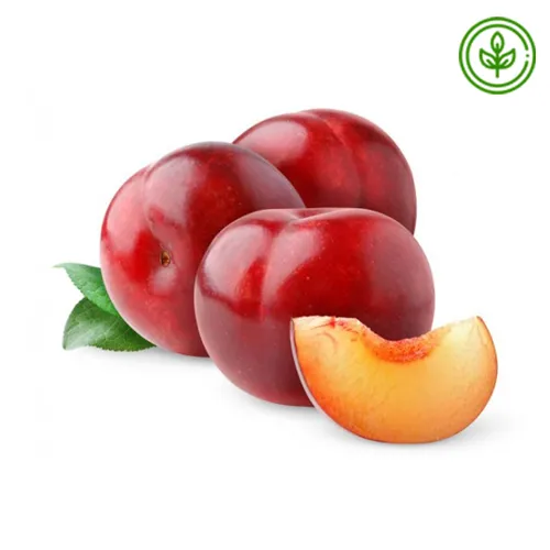 PLUM ORGANIC 