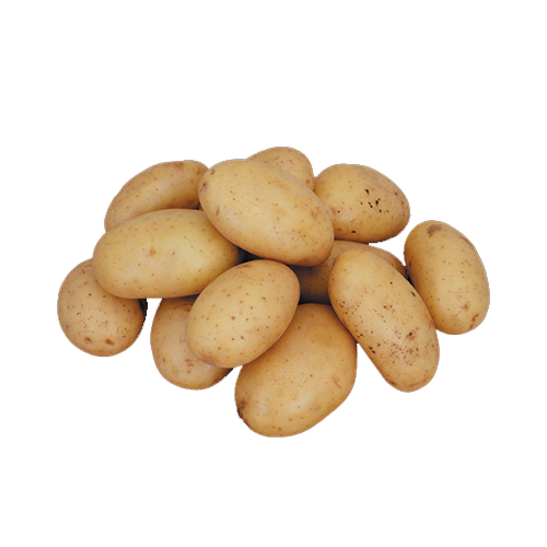POTATO AGRIA - HOLLAND ( 500 gm )