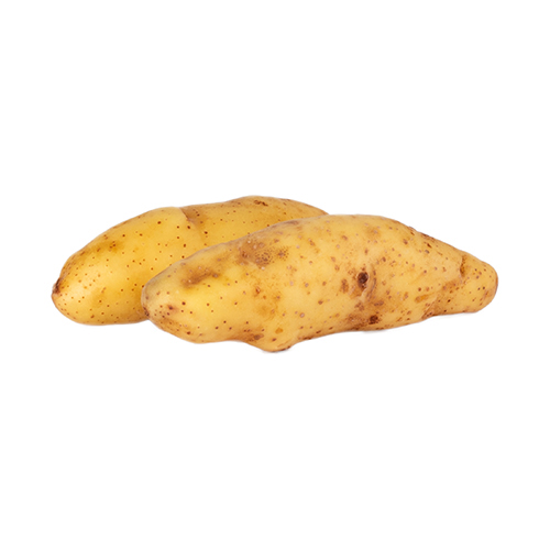 POTATO FINGERLI-RATTE - FRANCE ( 500 GM ) 