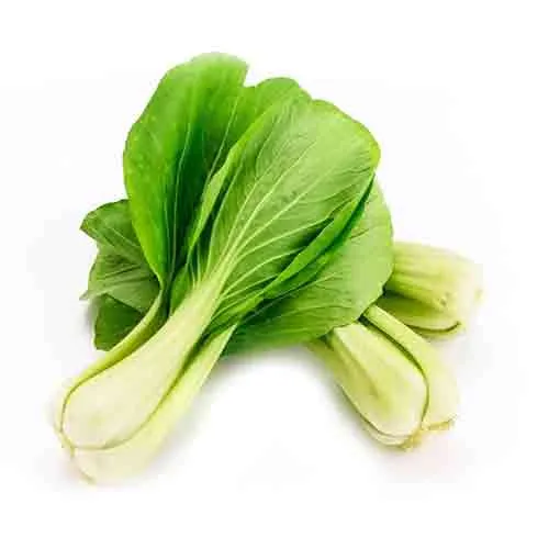 PAK CHOI - OMAN - PKT ( 250 gm )