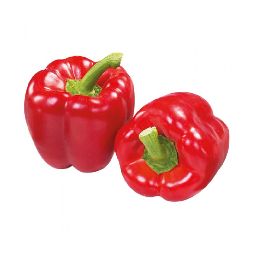 RED CAPSICUM SANITIZED ( kg )