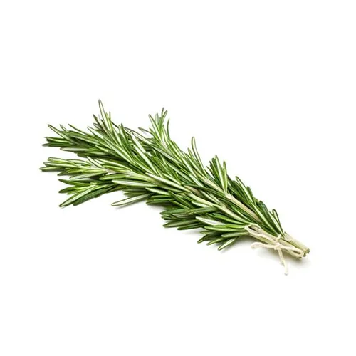 SAGE LEAVES - KENYA - BUNCH ( 100 gm )