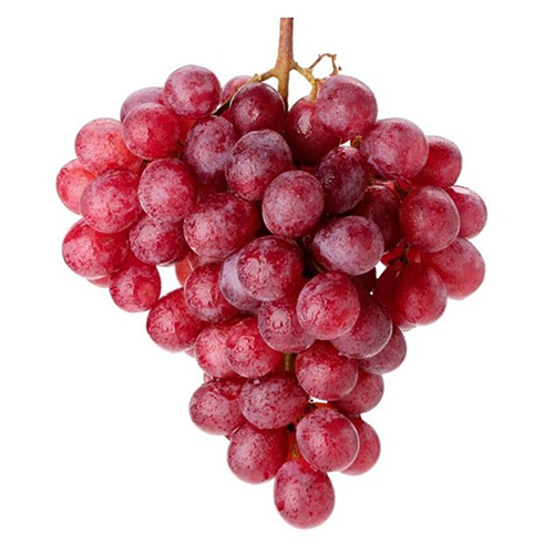  Fit Fresh Grapes Red Globe 500 g Pkt - Italy