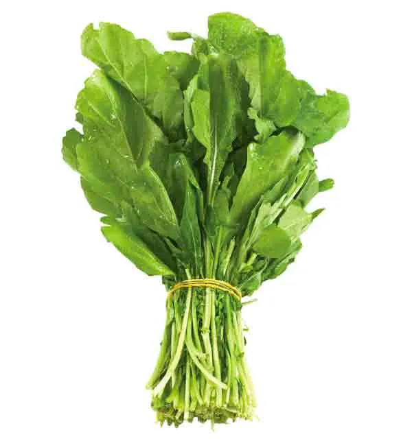 ROCCA / JARJEER LEAVES - ME ( KG )