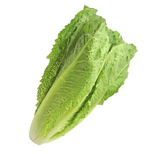 ROMAINE LETTUCE LEAVES SANITIZED ( kg )