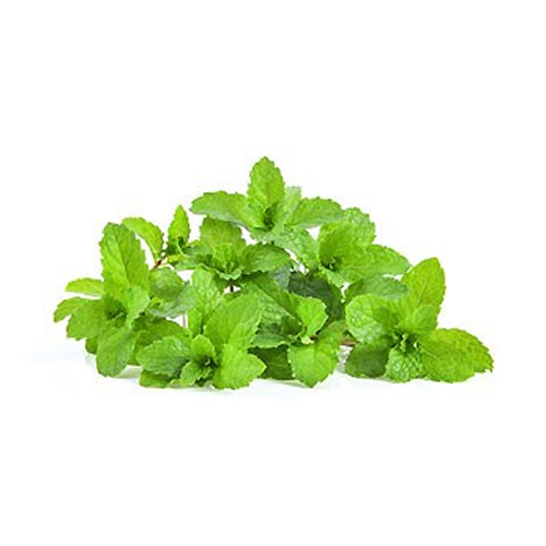 MINT LEAVES SANITIZED ( kg )