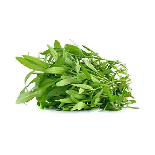 TARRAGON - KENYA-HOLL ( KG )