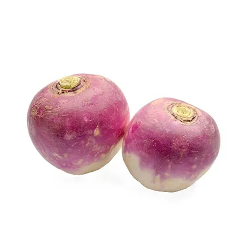 TURNIP - IRAN ( 500 gm )
