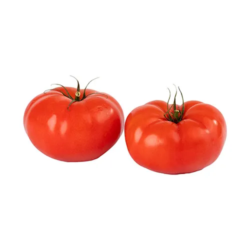 Fit Fresh Tomato Beef Kg - Holland