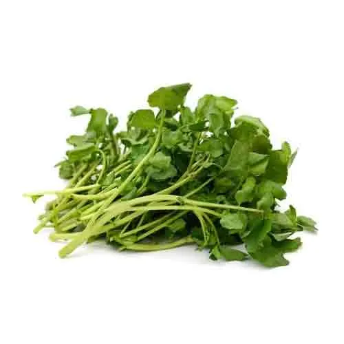 WATERCRESS / BAKLA - UAE - BUNCH ( 100 GM )