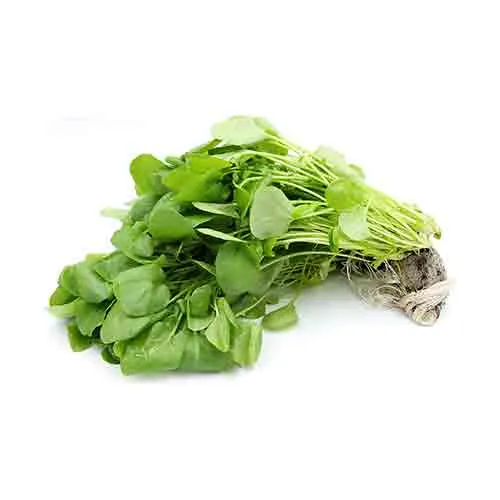 WATERCRESS / BAKLA - UAE ( kg )