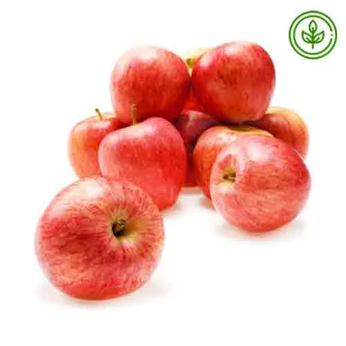 APPLE GALA - ORGANIC