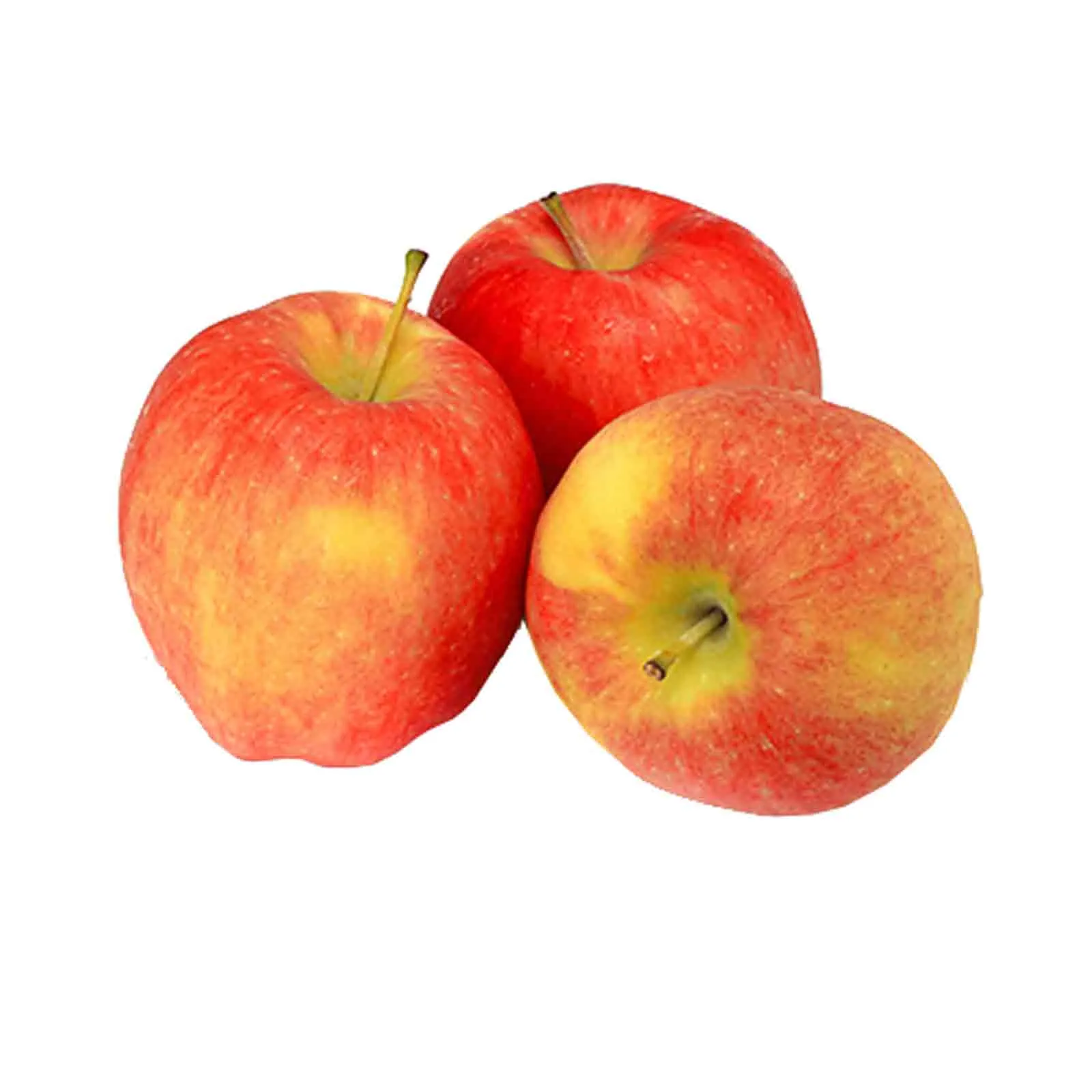 APPLE ROYAL GALA - SERBIA ( KG )