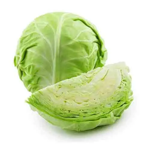 CABBAGE WHITE - ME - PC ( 800 GM - 1.2 KG )