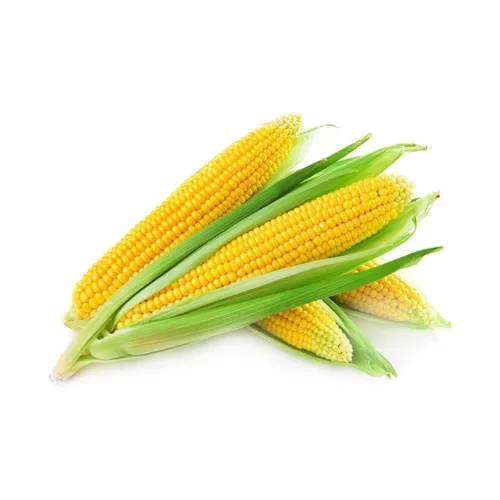 SWEET CORN - ME - PKT ( 500 GM )
