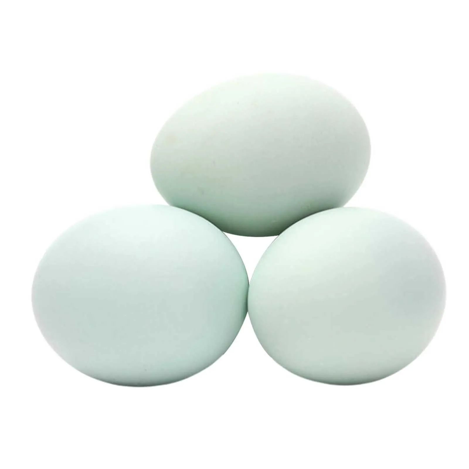 DUCK EGGS FRESH NEW AL KHALEEJ ( 6 PC )