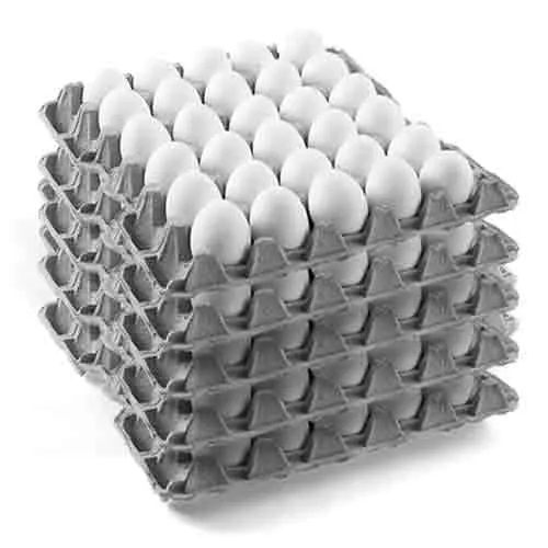 EGG WHITE LARGE UKRAINE ( 12 X 30 PCS )