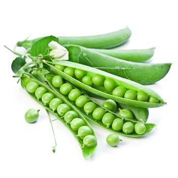  Fit Fresh Green Peas Sterilized Kg
