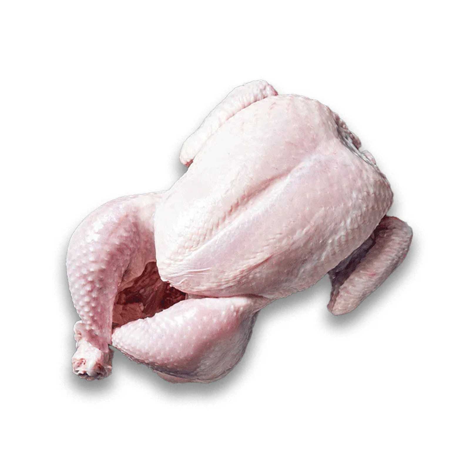  Golden Phoenix Whole Chicken Frozen 10 X 1.3Kg