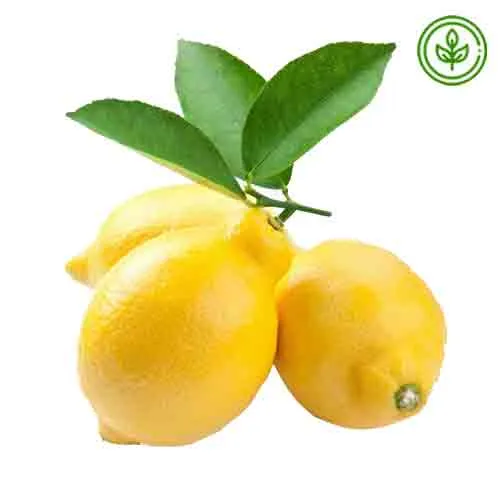 LEMON - ORGANIC ( PC )