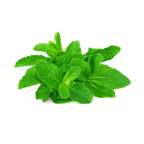MINT LEAVES - UAE - BUNCH ( 100 GM )