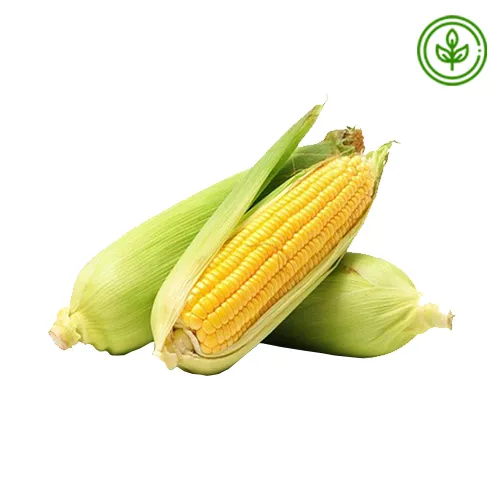 SWEET CORN ORGANIC 