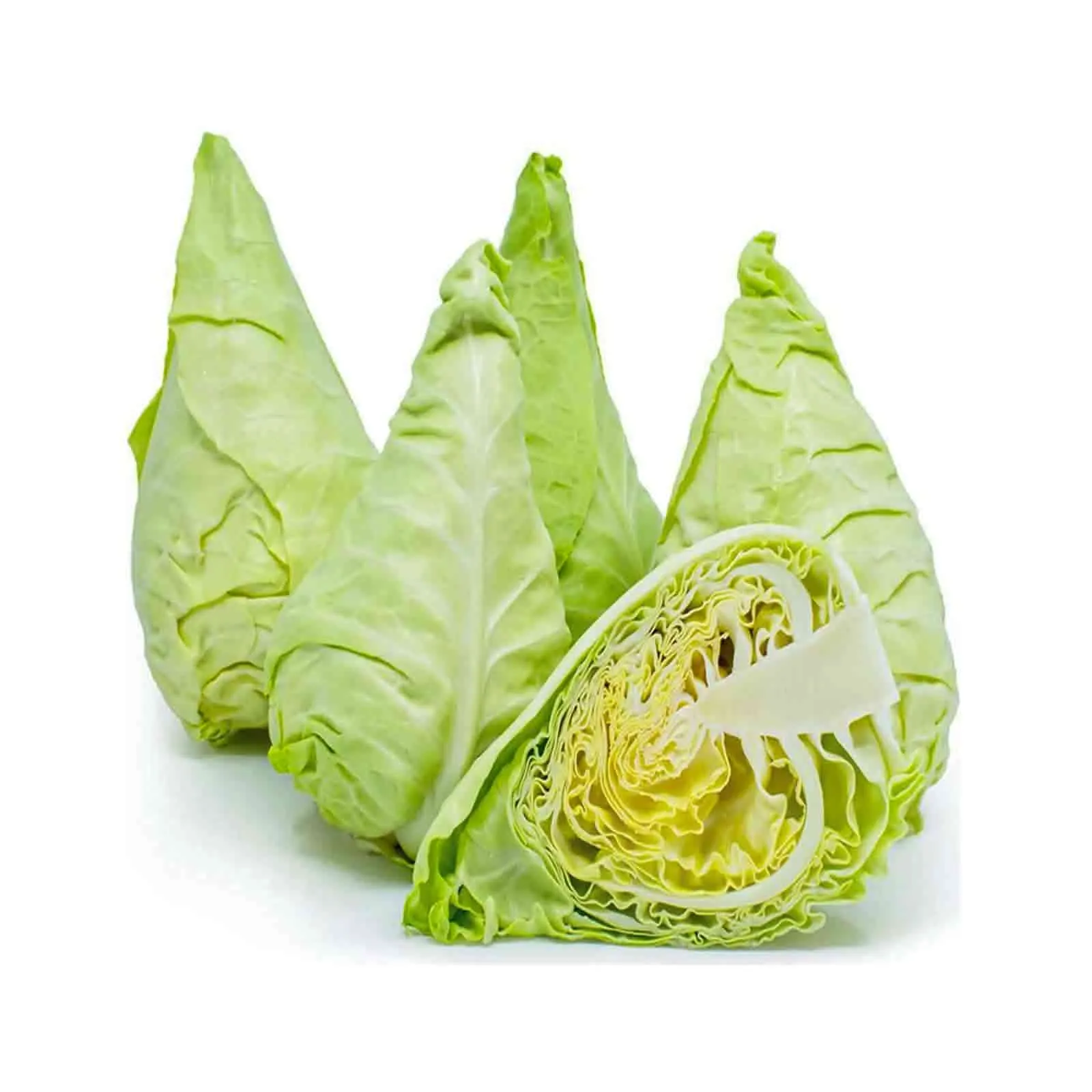 CABBAGE SPRING - HOLLAND - 1PC ( 0.7 - 0.9 kg )